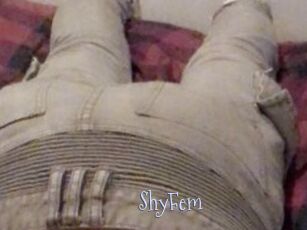 ShyFem