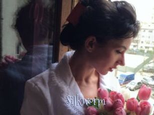 Silkworm