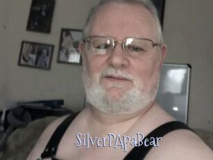 SilverPApaBear