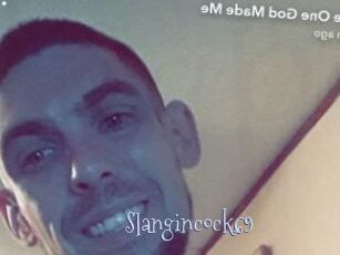 Slangincock69