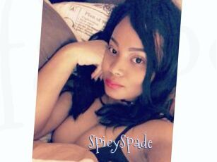 SpicySpade