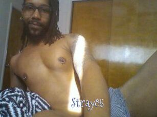 Stray85