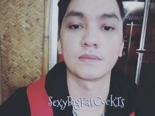 _SexyBigFatCockTs_