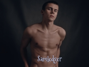 Samledger