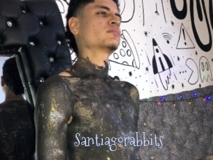 Santiagorabbits