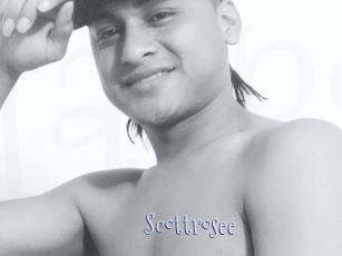 Scottrosee