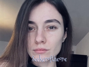 Seekeroftheone