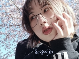 Seosoojin