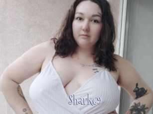Shark69