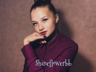 Shineflowerbb