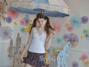 Shytulip