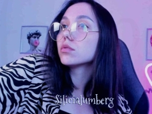 Silicialumberg