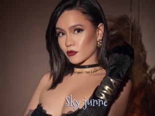 Sky_junne