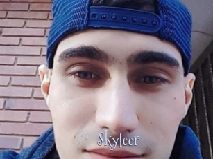 skyleer Faceporno