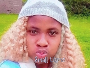 small_tits018 Faceporno