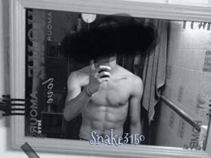 Snake3150