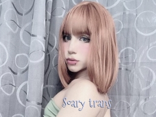 Soary_trans