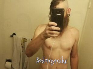 Sodomymike