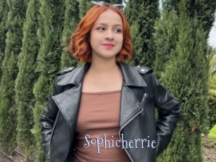 Sophicherrie