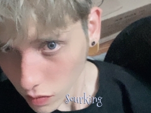 Sourking
