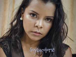 Soytucolor18
