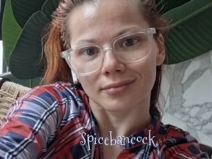 Spicebancock