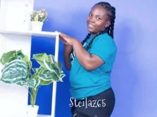 Steilaz65