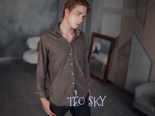 TEO_SKY