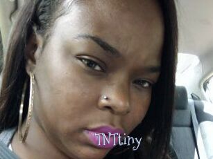 T_N_Ttiny
