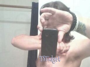 TSFidget