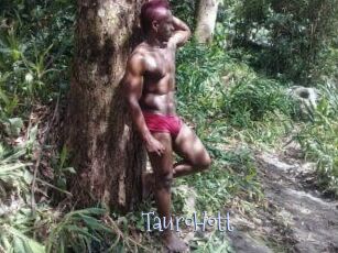 Tauro_Hott