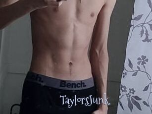 TaylorsJunk