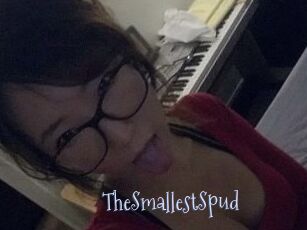 TheSmallestSpud