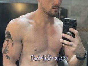 TheSolidSnake23 Faceporno