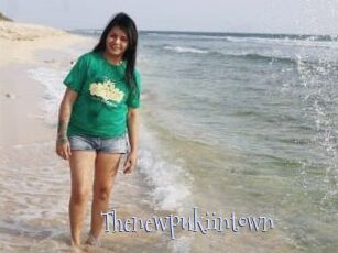 Thenewpukiintown