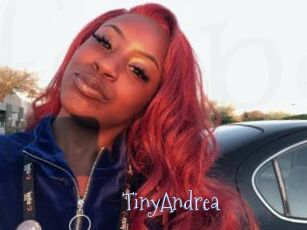 TinyAndrea