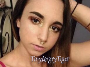 TinyAngryTiger