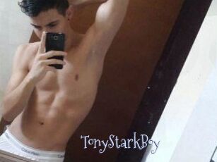 TonyStarkBoy