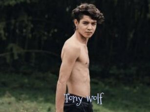 Tony_wolf