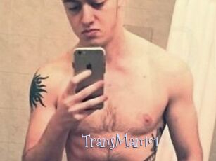 TransMan101