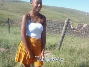 Turtledovey