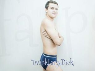 TwinkLargeDick Faceporno