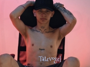 Tatevogel