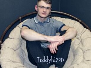 Teddybizon