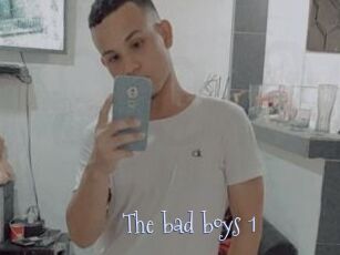 The_bad_boys_1