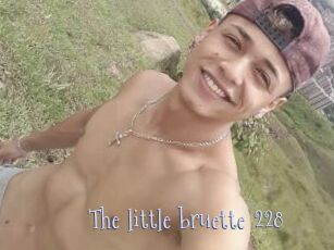 The_little_bruette_228