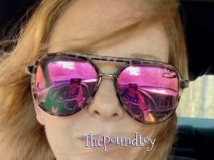 Thepoundtoy