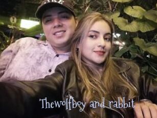 Thewolfboy_and_rabbit