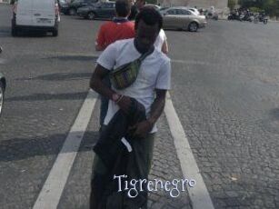Tigrenegro