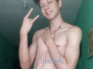 Timbrook